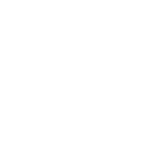 Evolve-X logo